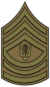 US Army Dirigent Hudební Skupiny.png