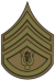 US Army Seržant Trubač.png